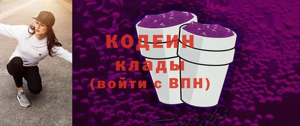 индика Абаза