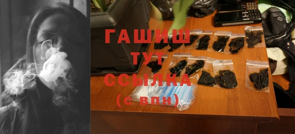 индика Абаза