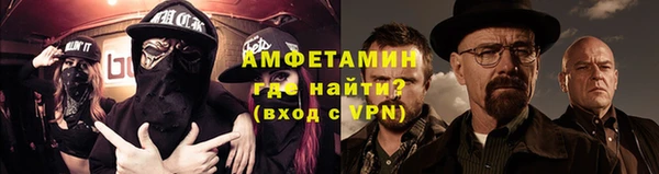 индика Абаза