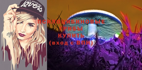индика Абаза