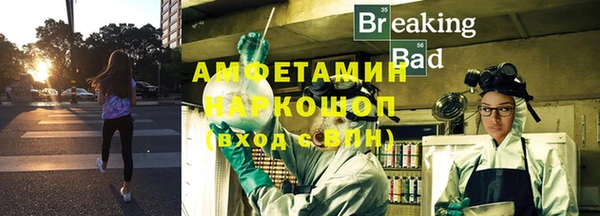 индика Абаза