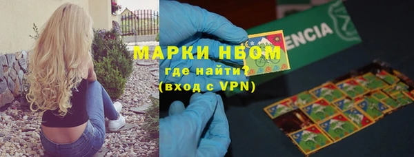индика Абаза